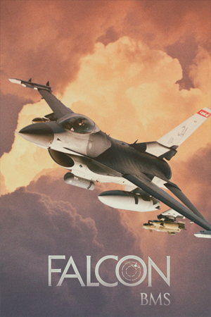 Falcon BMS poster